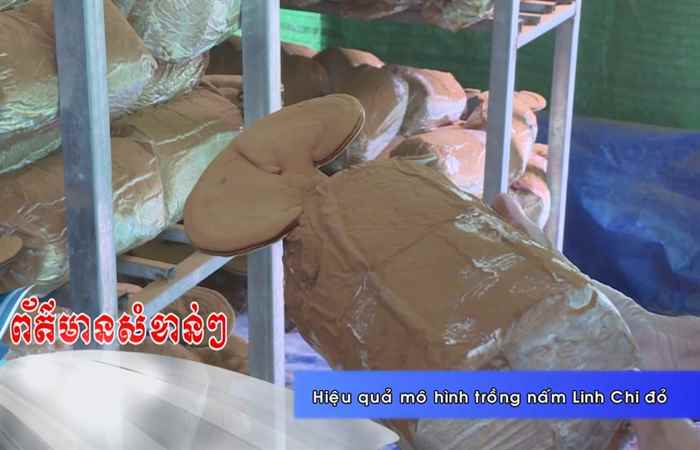 Thời sự Khmer 26-10-2017