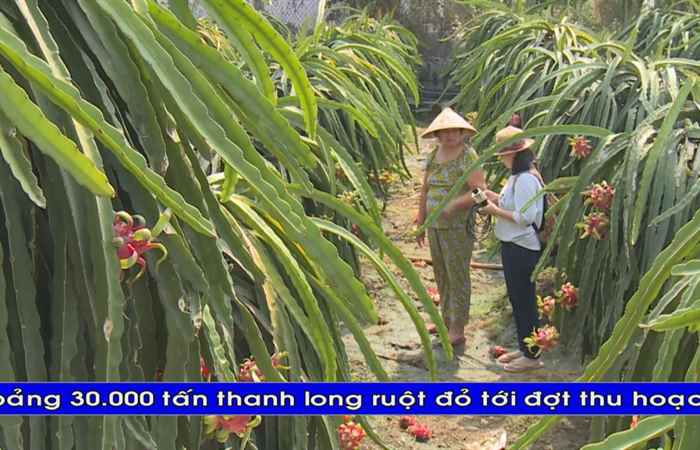 Thời sự tiếng Khmer (02-02-2020)