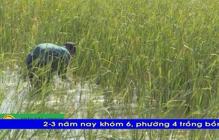 Thời sự tiếng Khmer (02-03-2020)