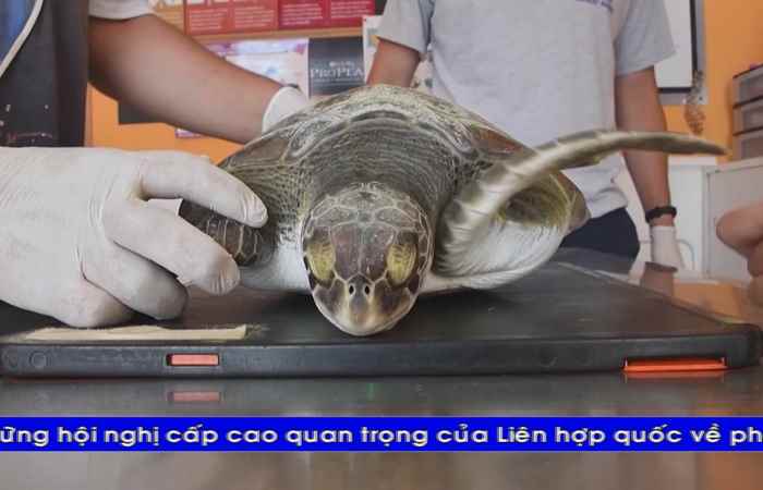 Thời sự tiếng Khmer (07-06-2025)