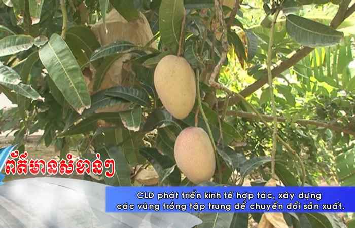 Thời sự tiếng Khmer (15-08-2020)