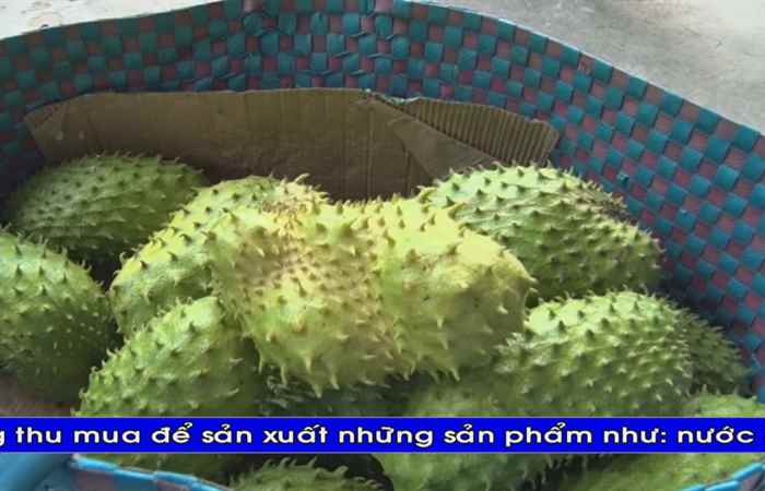 Thời sự tiếng Khmer (23-02-2020)