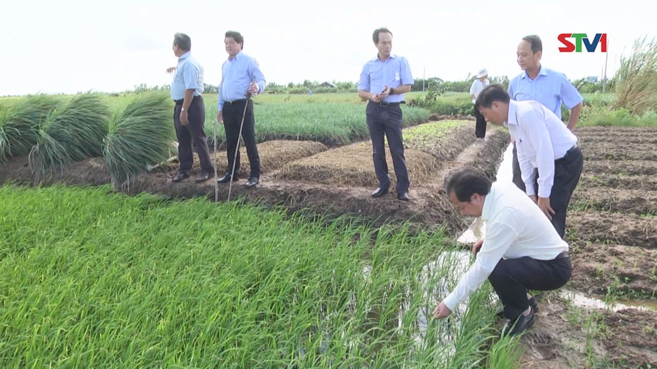Thứ trưởng Bộ Nông nghiệp và PTNT khảo sát vùng có nguy cơ bị ảnh hưởng của hạn hán và mặn xâm nhập trên địa bàn tỉnh Sóc Trăng