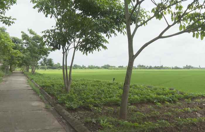 Thuận Hòa nâng cao chất lượng công tác bảo vệ môi trường nông nghiệp trong xây dựng Nông thôn mới (17-06-2023)
