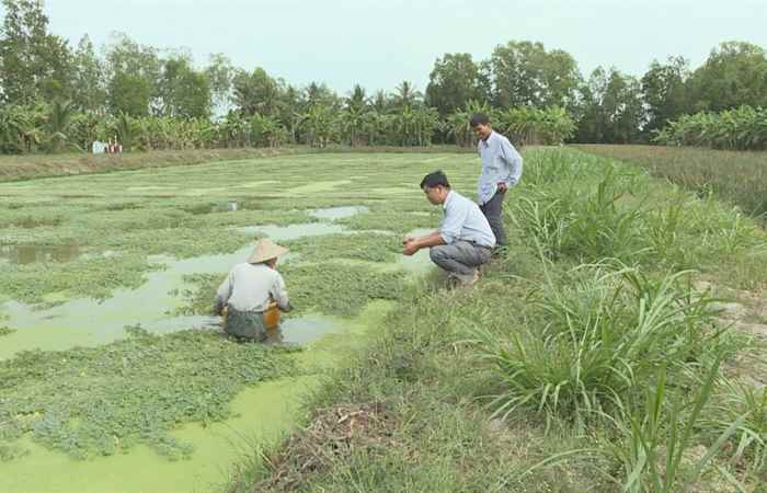 Trang tin địa phương (05-01-2020)