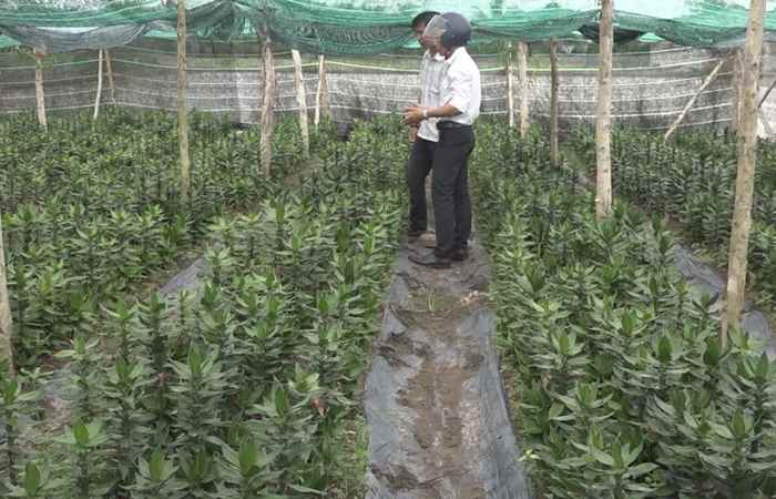 Trang tin địa phương 15-12-2019