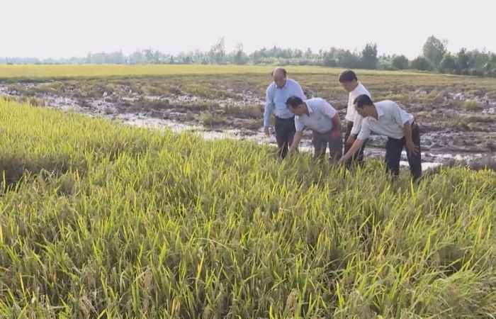 Trang tin địa phương 16-02-2020