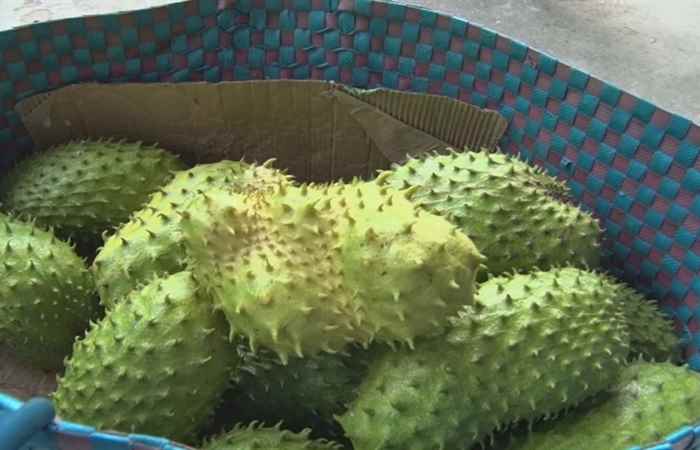 Trang tin địa phương 29-12-2019