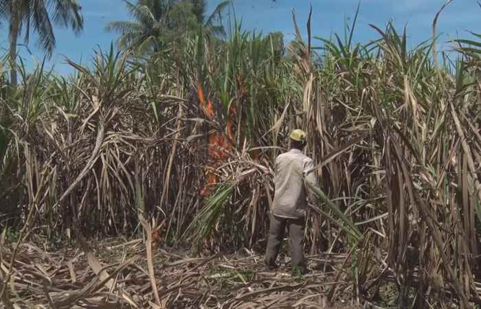 Trang tin địa phương huyện Cù Lao Dung 16-12-2019