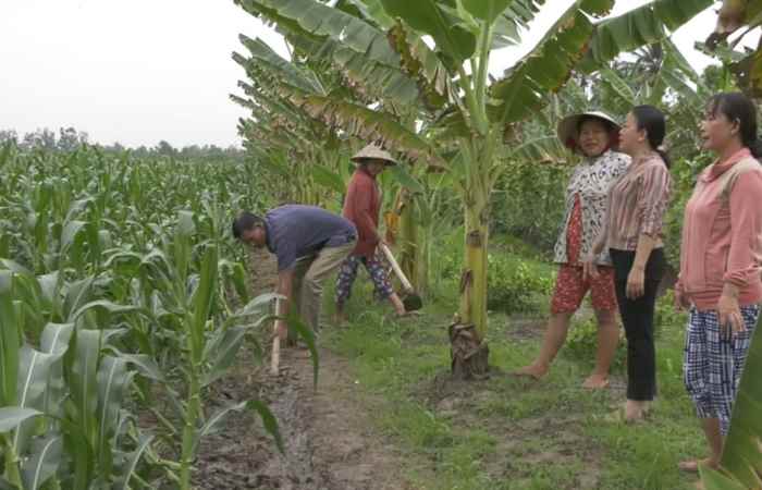 Trang tin địa phương huyện Kế Sách 