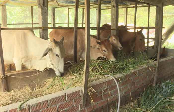 Trang tin địa phương Huyện Thạnh Trị (23-02-2020)