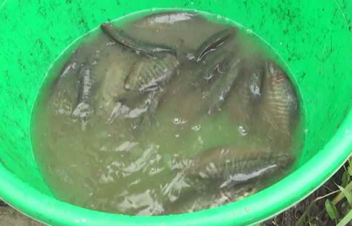 Trang tin địa phương Thành phố Sóc Trăng 16-12-2019