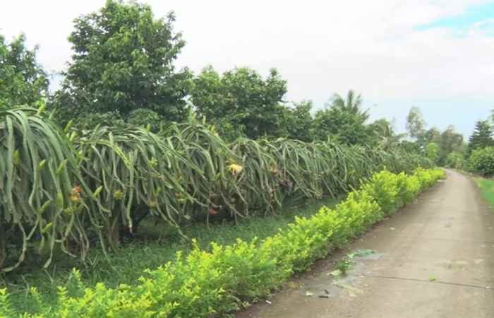 Trang tin địa phương thị xã Ngã Năm 16-02-2020