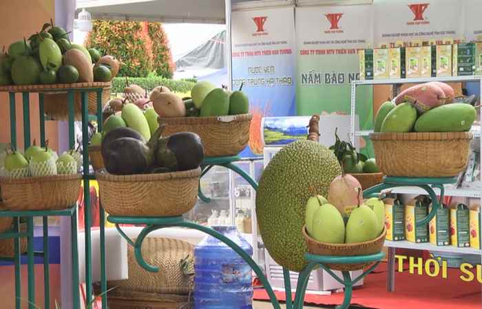 Triển lãm trưng bày sản phẩm trái cây vùng ĐBSCL dịp lễ hội Óc Om Bóc 29-10-2017