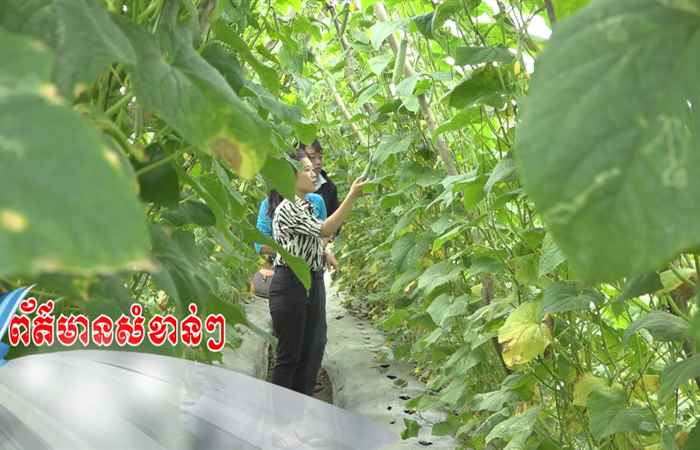 Trợ lực Nhà nông tiếng Khmer (01-11-2023)