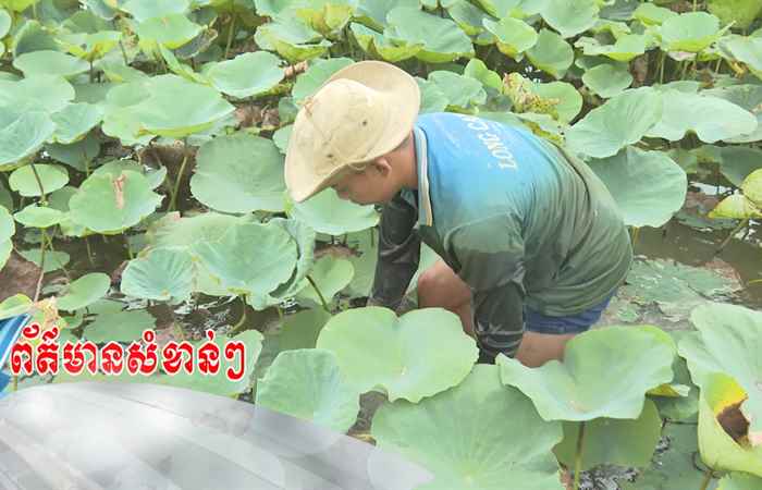 Trợ lực Nhà nông - Tiếng Khmer (04-10-2023)