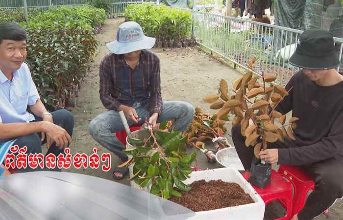 Trợ lực Nhà nông tiếng Khmer (09-10-2024)