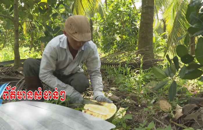 Trợ lực Nhà nông - Tiếng Khmer (23-08-2023)