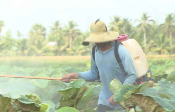 Trợ lực Nhà nông - Tiếng Khmer (25-10-2023)