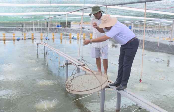 Trợ lực Nhà nông tiếng Khmer (28-04-2021)