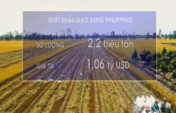 Xuất khẩu gạo sang Philippines lần đầu vượt mốc 1 tỷ USD